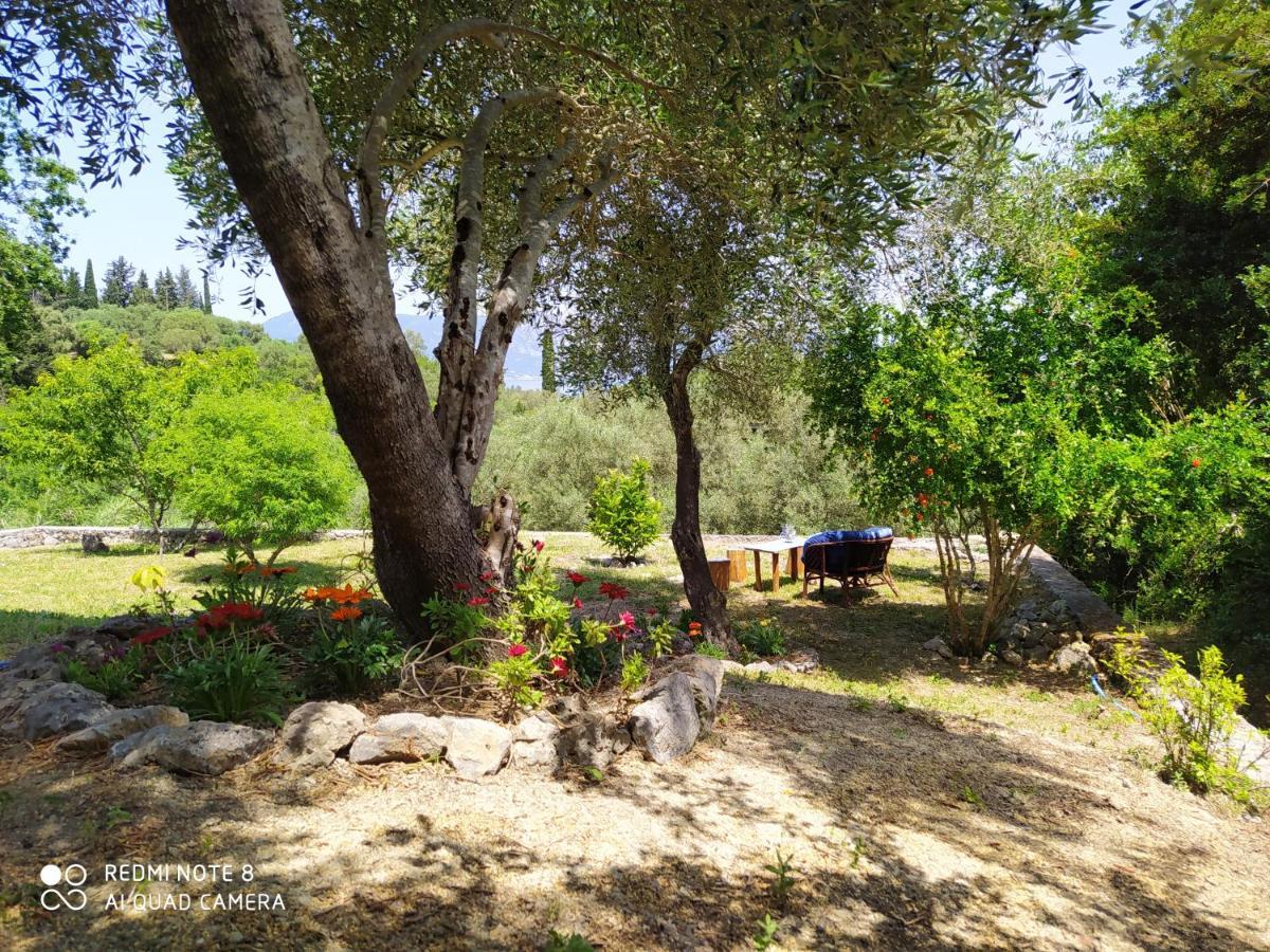 Corfu Villa Galini Potamos  Экстерьер фото