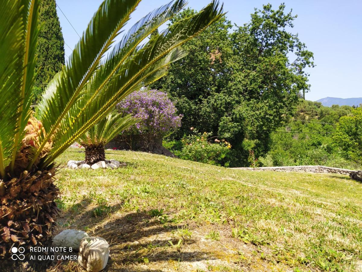 Corfu Villa Galini Potamos  Экстерьер фото